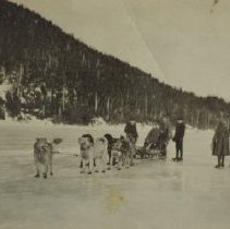 people ice skating & dog team & sled